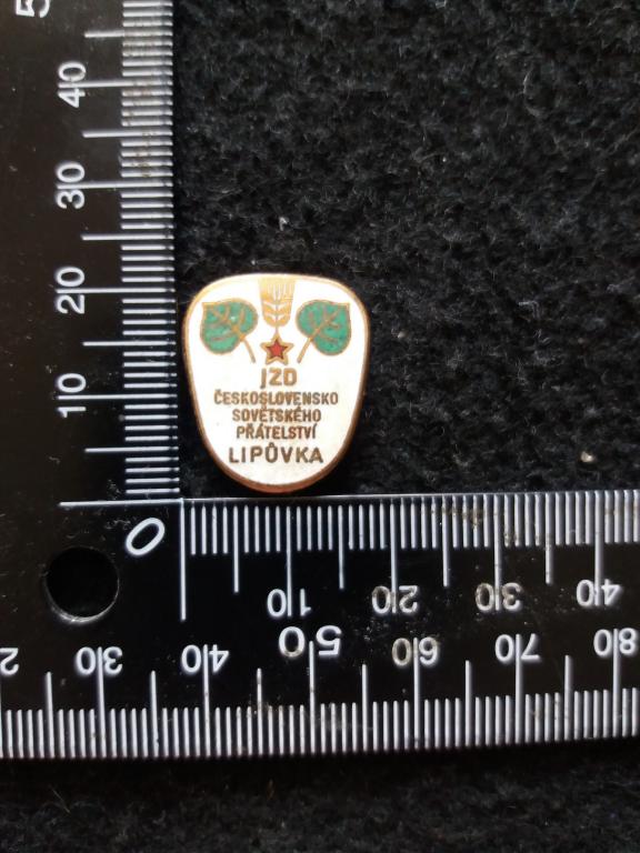 Знак "СЪЕЗД ОБЩЕСТВА ЧЕХОСЛОВАЦКО-СОВЕТСКОЙ ДРУЖБЫ. ЛИПУВКА" / ПОЛИТИКА