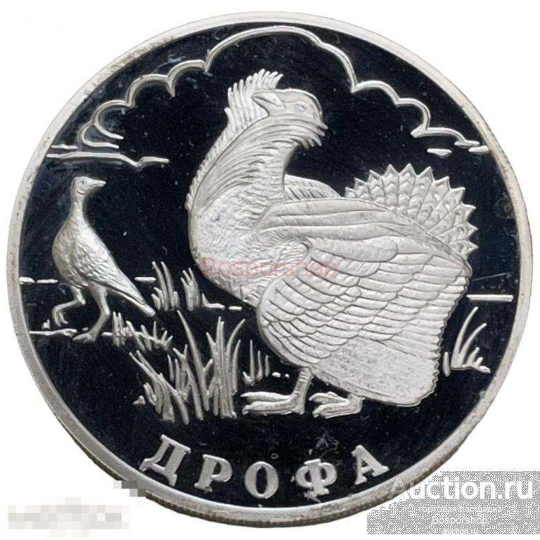 Россия 1 рубль 2004 г. (Красная книга - Дрофа) (Proof) (2) 