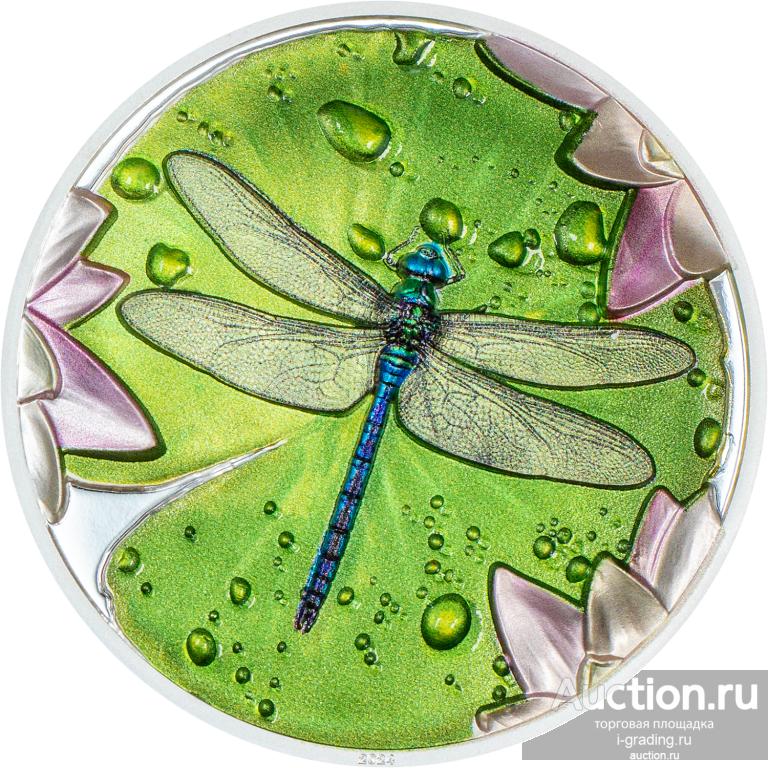 Палау 5 долларов 2024 Лилия Стрекоза