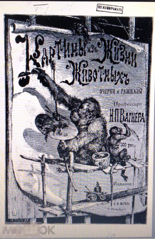 PDF Вагнер Н.П. Картины из жизни животных. 1901г 
