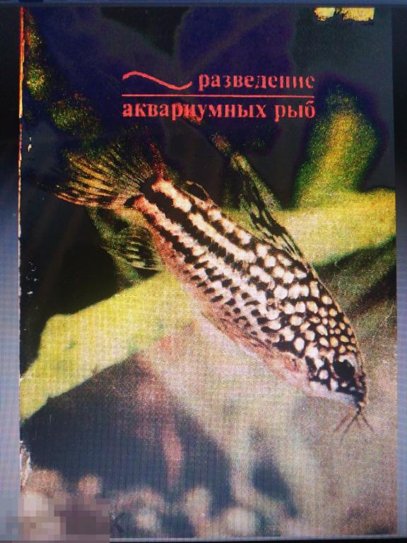 PDF Мымрин В.Г. Разведение аквариумных рыб. 1991г 