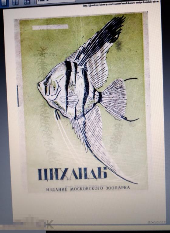 PDF Молчанов А.В. Аквариум любителя. Вып.5. Цихлиды. 1948г 