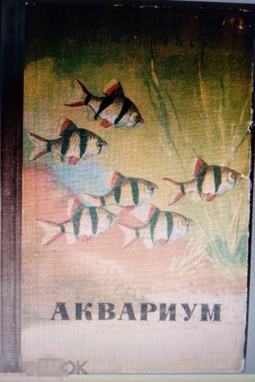 PDF Журавлев Н.Н. Аквариум. 1959г 