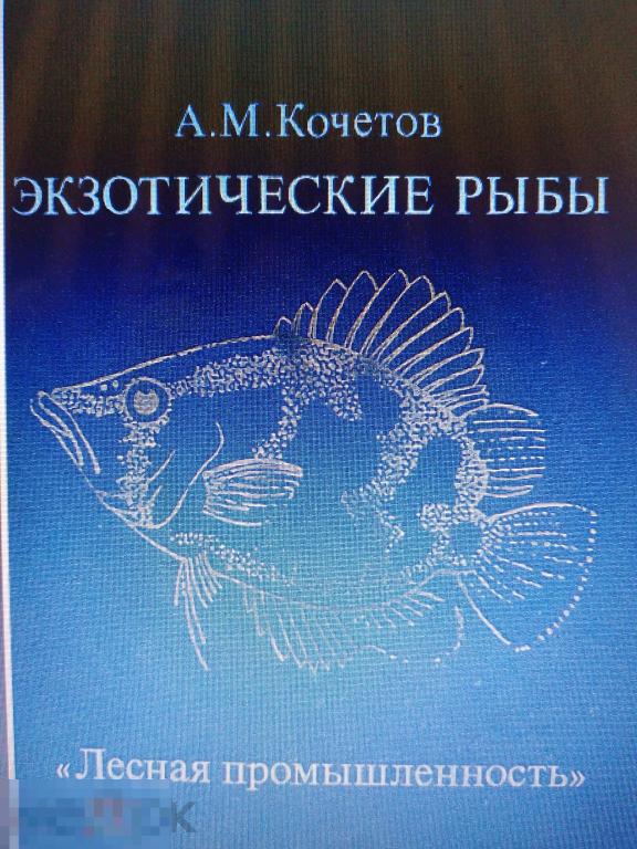 DjVu Кочетов А.М. Экзотические рыбы. 1989г 
