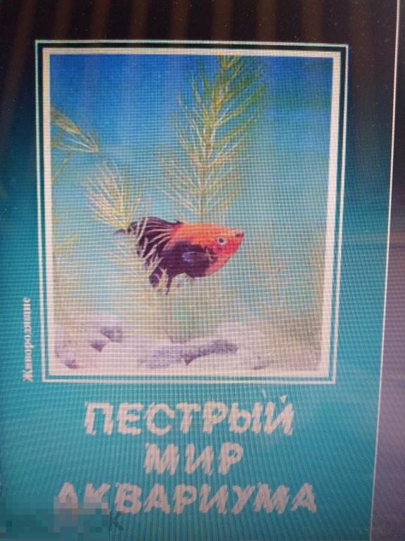 PDF Пёстрый мир аквариума. Выпуск 8. Живородящие. 1989г. 22 открытки 