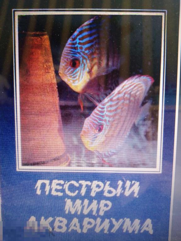 PDF Пёстрый мир аквариума. Выпуск 2. Цихлиды. 1982г. 25 открыток 
