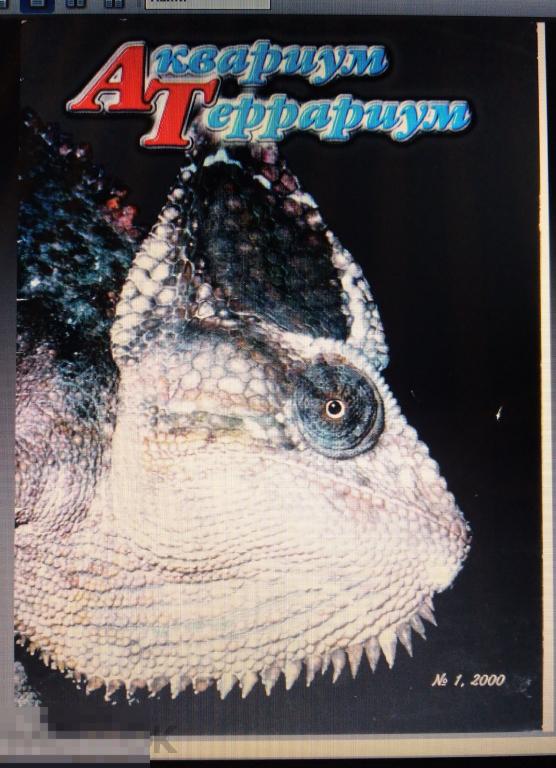 PDF Журнал Аквариум Террариум. Вып. 1. 2000г 