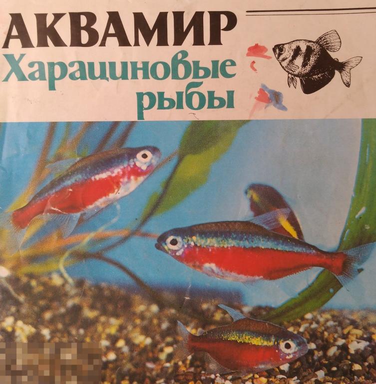 PDF Аквамир. Вып.5. Харациновые рыбы. Неоны. 1992г. Буклет 8с 