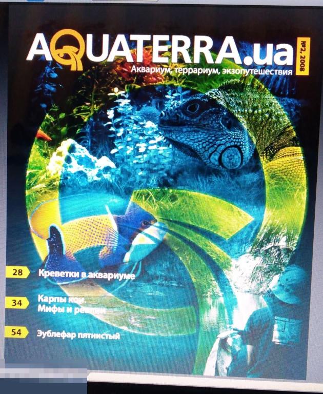 PDF Журнал Aquaterra.ua. 2008 - 02. Есть все номера!! 