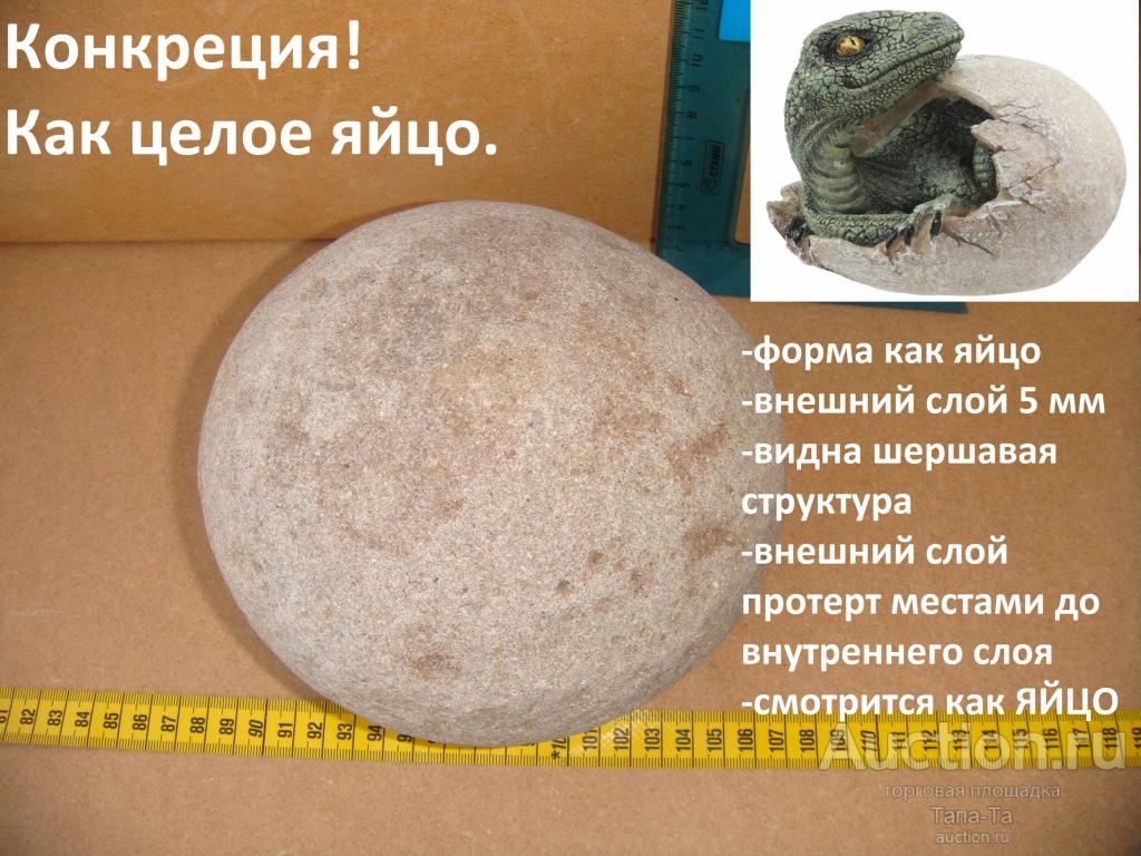 Интерьер декор дизайн Конкреция АНАЛОГИЯ ПРИРОДНАЯ ЕСТЕСТВЕННАЯ ИМИТАЦИЯ целое яйцо динозавра