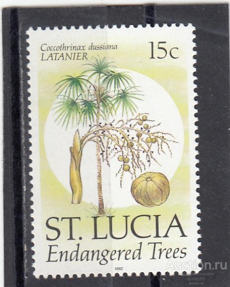 ST. LUCIA  СЕНТ ЛЮСИЯ  ЛЮЧИЯ  Флора Цветы Растения № 968 1992 !!   Сост**  MNH