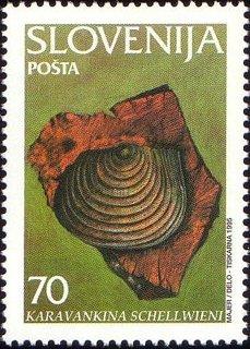 Словения 1995 г. Палеонтология . Окаменелости. Караванкина шеллвиени ** Mi SI 108  Чист. ЧБН