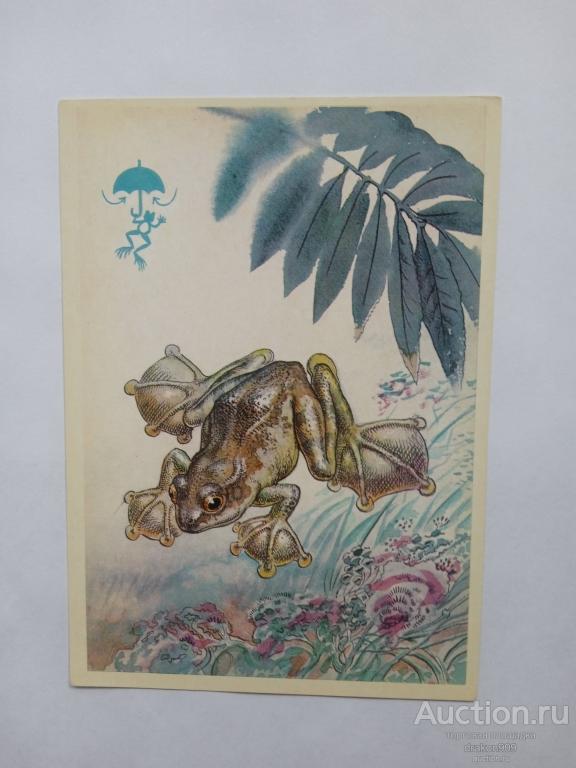 Открытка. В.Горбатов. Животное. Летучая лягушка. 1978