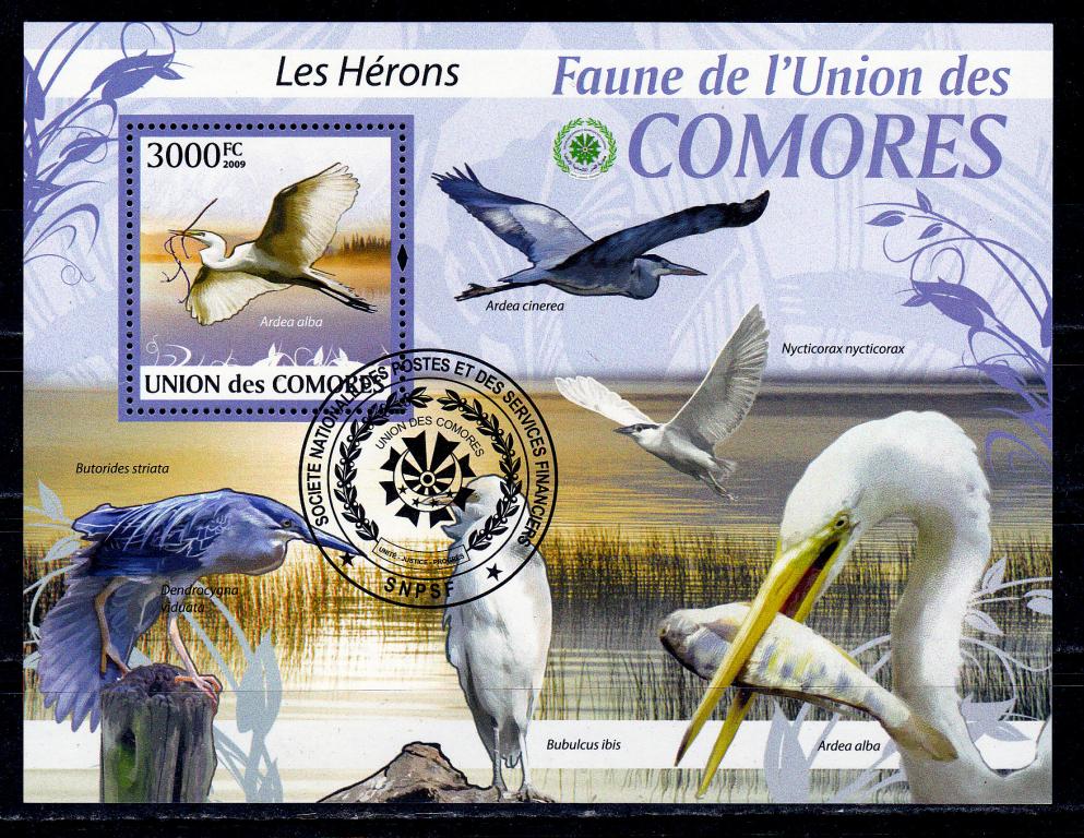 Марки Коморские острова (Коморы) 2009 г. Цапли Фауна Птицы