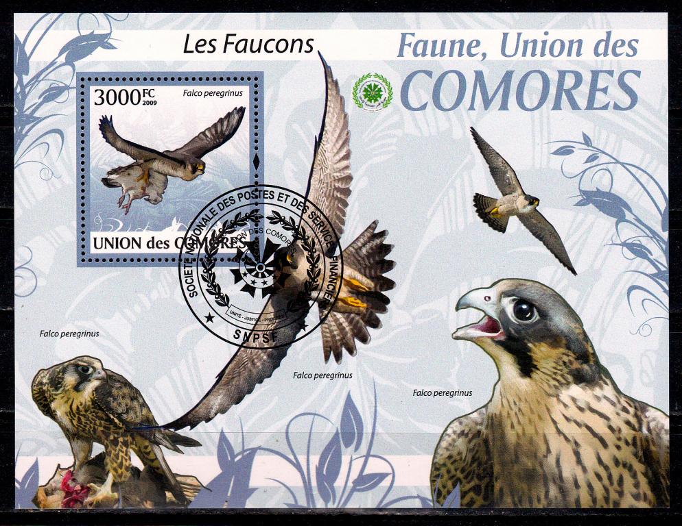 Марки Коморские острова (Коморы) 2009 г. Соколы Фауна Птицы