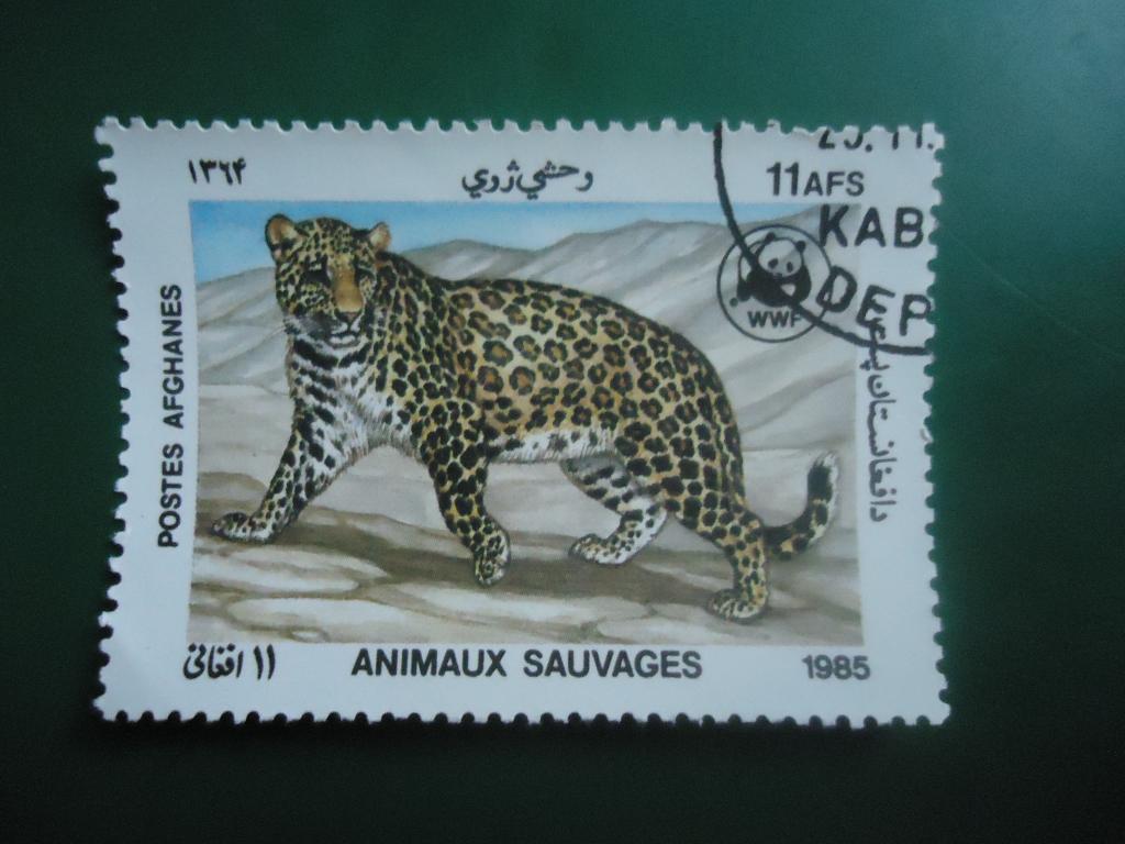 1985 г.  Афганистан  гаш. с клеем.