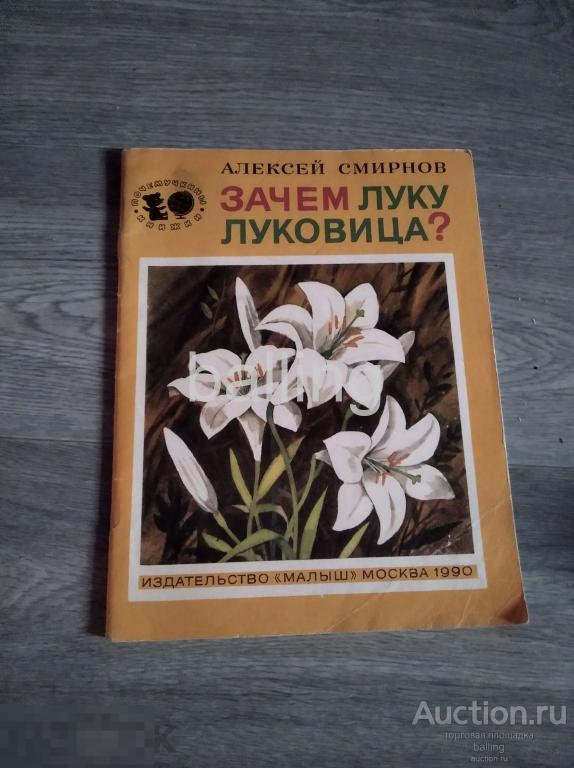 почемучкины книжки. Зачем луку луковица 