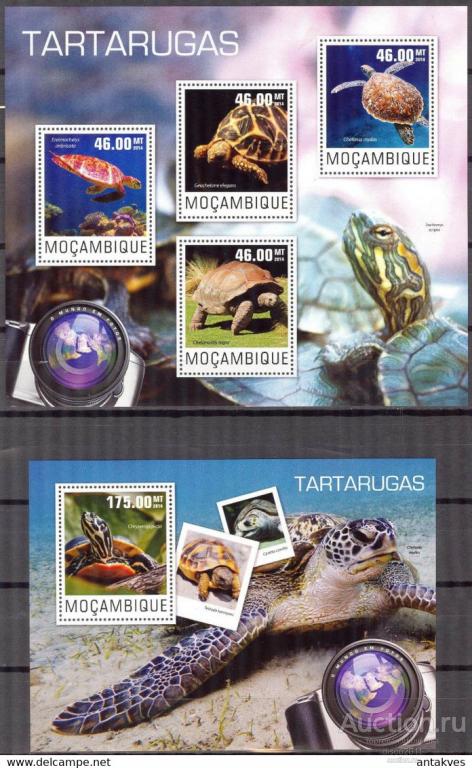 Мозамбик 2014 Черепахи Рептилии Морская фауна моря к/б+бл**