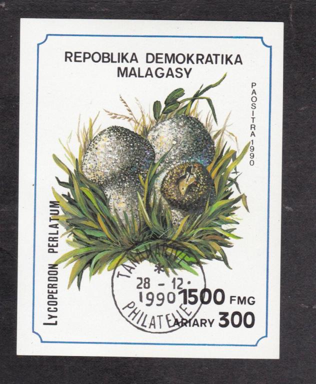 Мадагаскар 1990 Флора Грибы (9646)