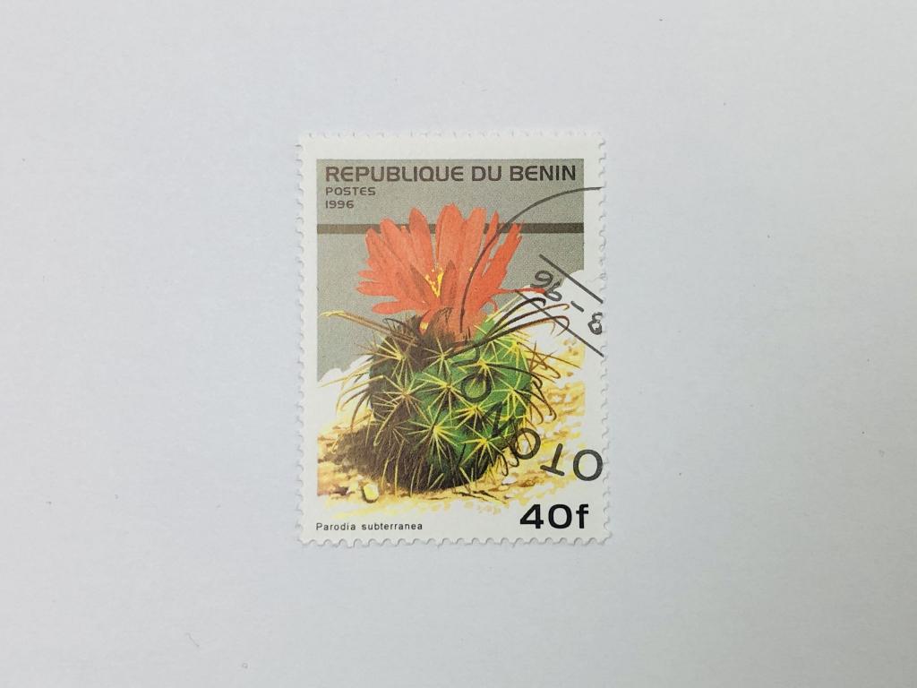 Кактусы. Пародия субтерранеа (подземная). Флора. Бенин. 1996. Михель: BJ 824. Гашен
