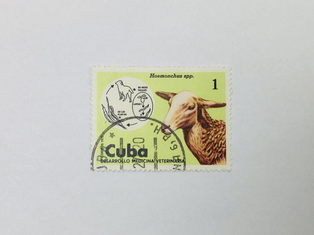 Ветеринария. Гемонхус контортус и овца. Наука. Куба. 1975. Михель: CU 2091. Гашен