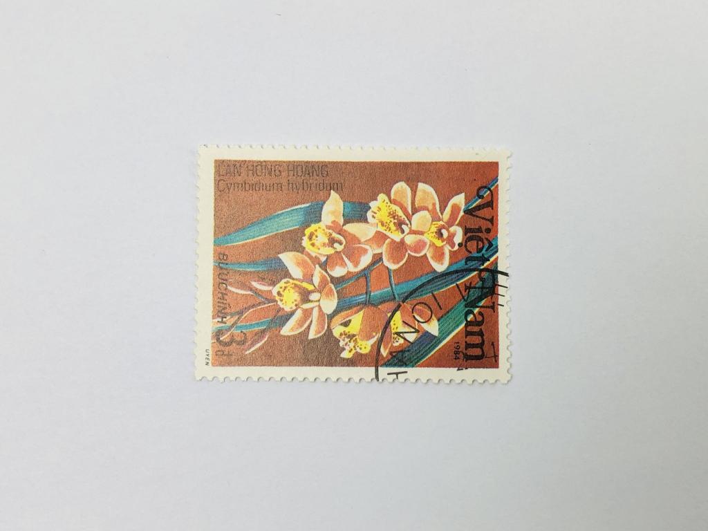 Орхидеи. Цимбидиум. Флора. Вьетнам. 1984. Михель: VN 1429. Гашен
