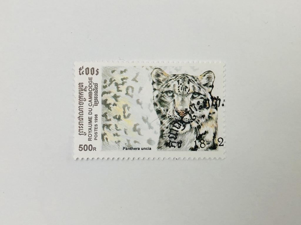 Дикие кошки. Снежный барс. Фауна. Камбоджа. 1998. Михель: KH 1879. Гашен