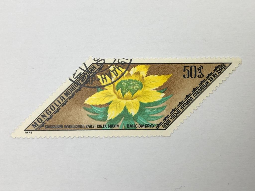 Лекарственные растения. Соссюрея (Горькуша). Флора. Монголия. 1975. Михель: MN 921. Гашен
