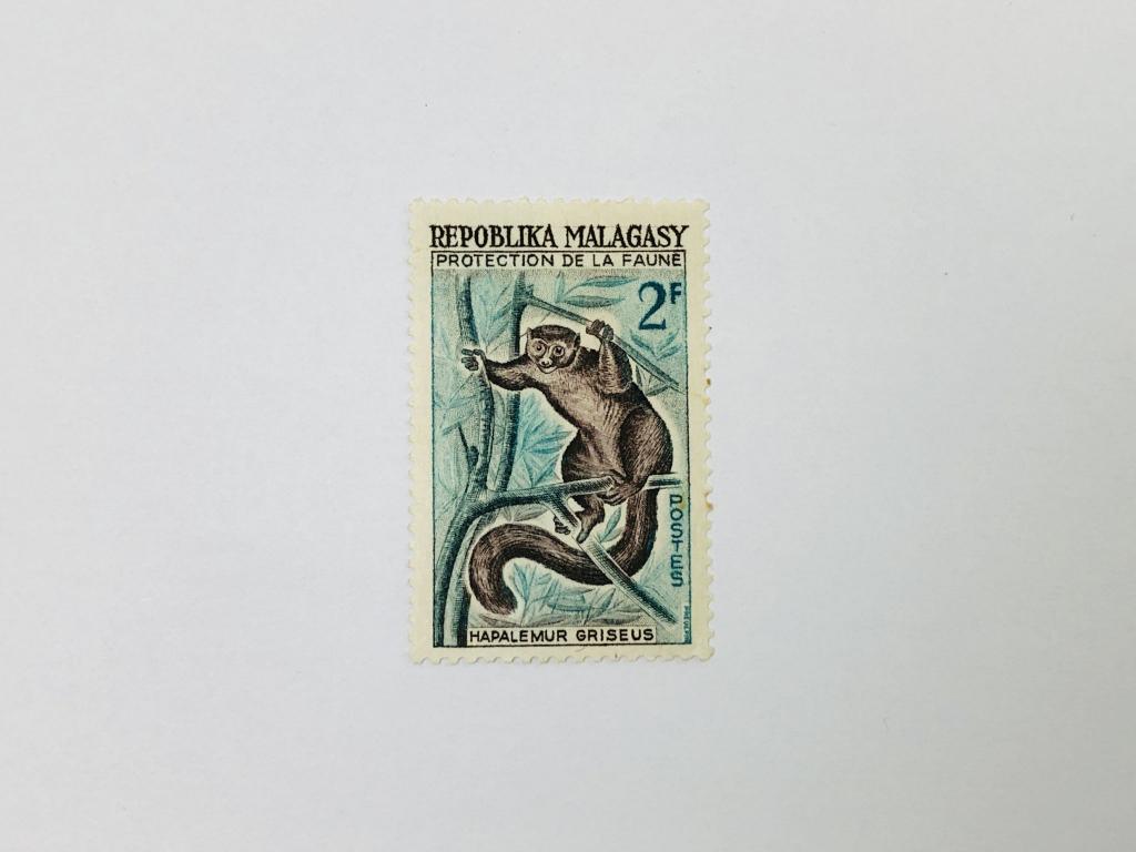 Защита дикой природы. Серый лемур. Фауна. Мадагаскар. 1961. Михель: MG 467. Чист **. MNH