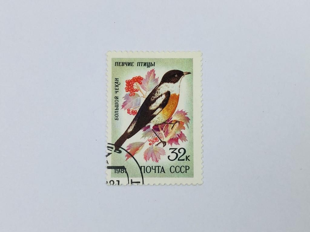 Певчие птицы. Большой чекан. Фауна. СССР. 1981. Загорский: 5157. Гашен