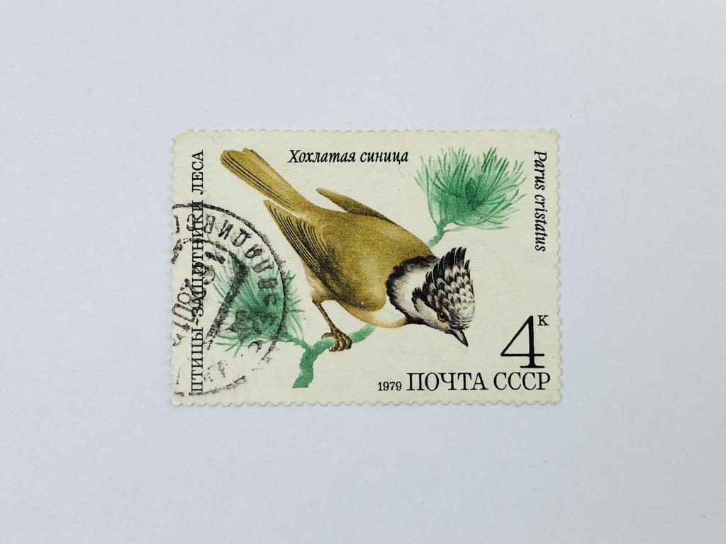 Птицы - защитники леса. Хохлатая синица. Фауна. СССР. 1979. Загорский: 4935. Гашен