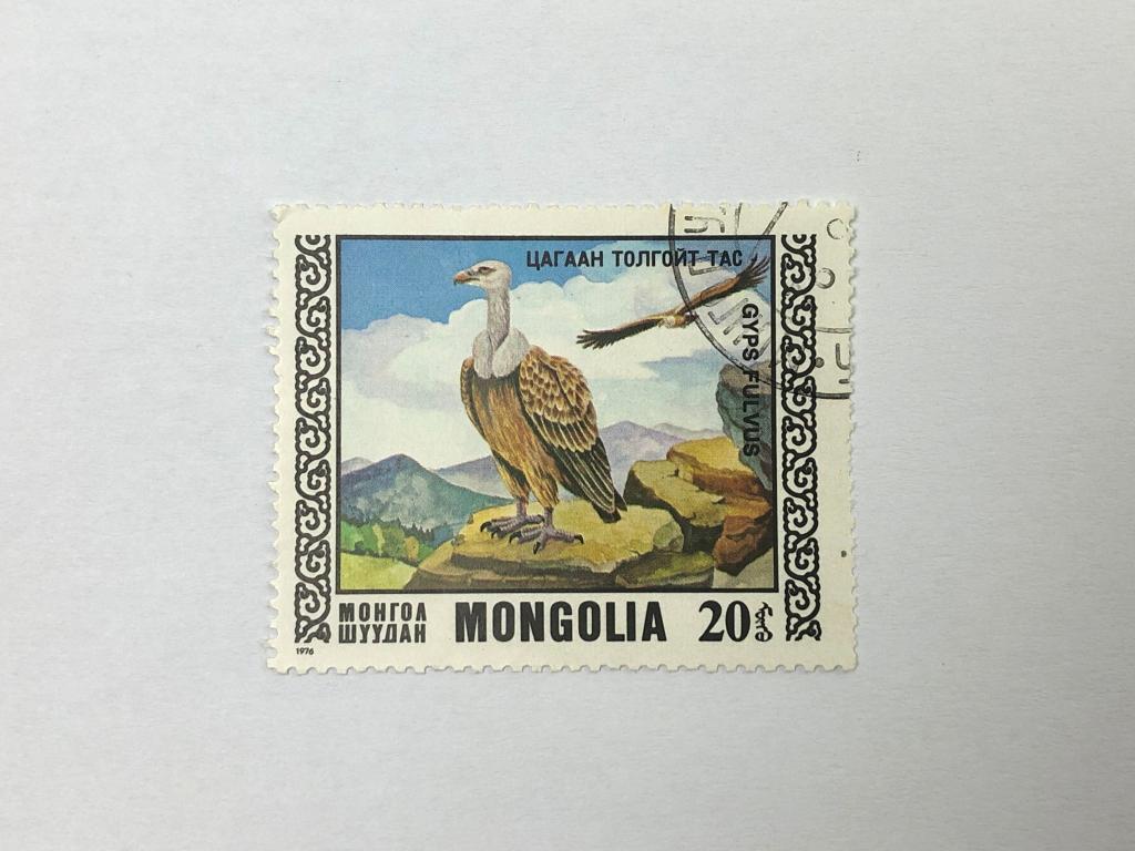 Хищные птицы. Белоголовый сип (Gyps fulvus). Фауна. Монголия. 1976. Михель: MN 1010. Гашен