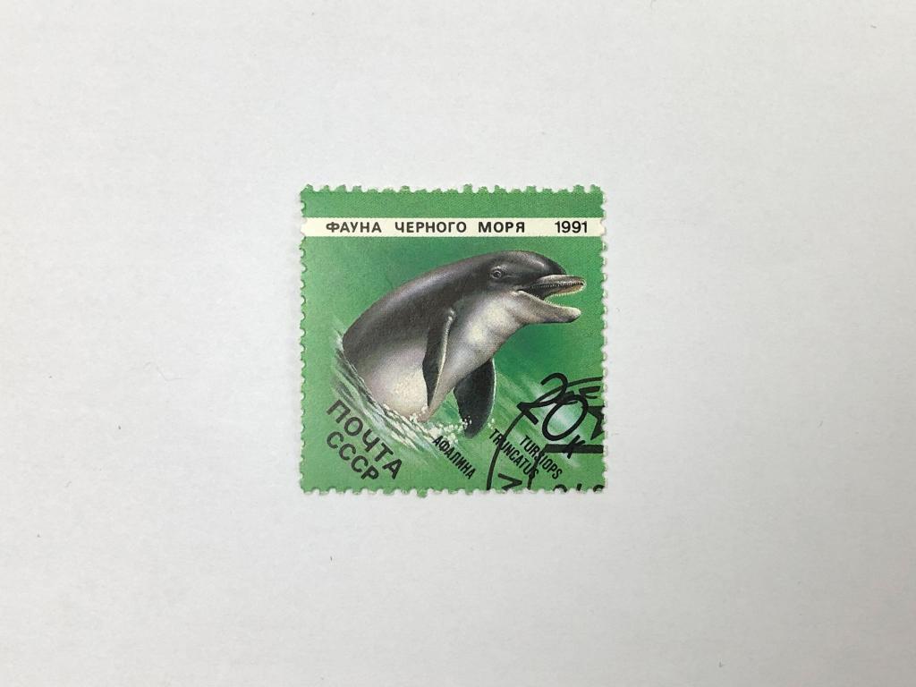 Фауна Черного моря. Дельфин афалина. Фауна. СССР. 1991. Загорский: 6218. Гашен