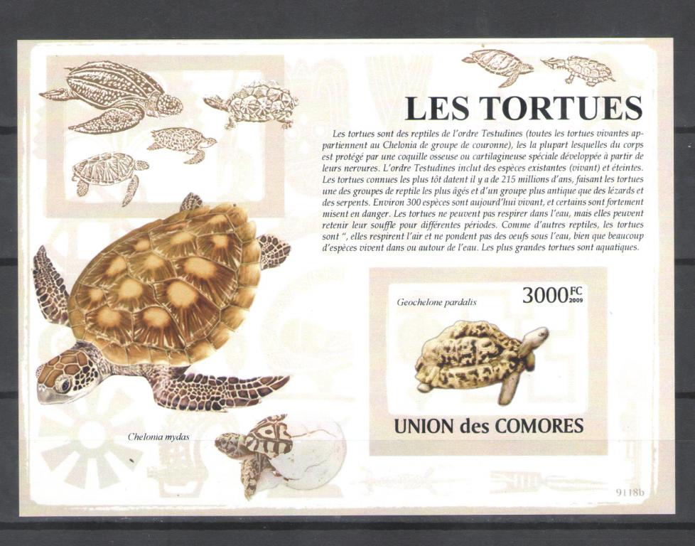 Коморы 2009г.  Черепахи,  блок. MNH.