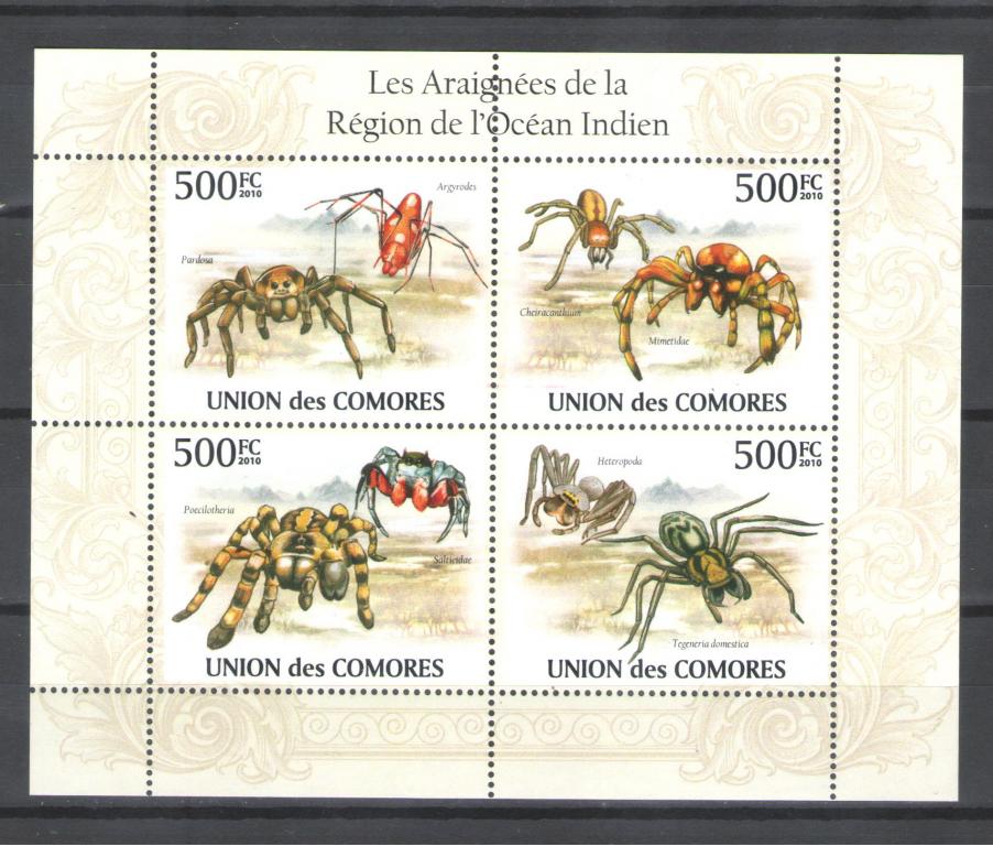 Коморы 2010г.  Пауки,  лист. MNH.