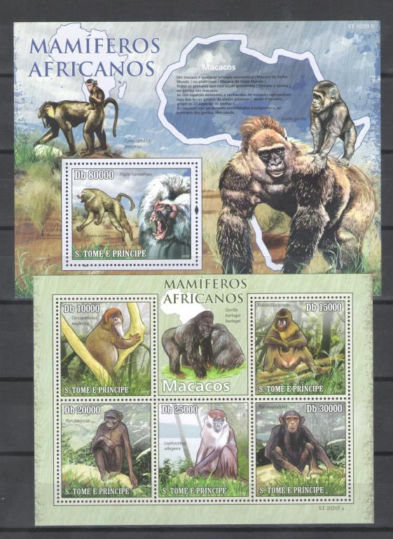 Сан Томе  2010г.  Обезьяны,  бдок + лист. MNH.