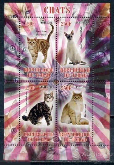 Чад, Кошки, 2013, чистый ** малый лист 