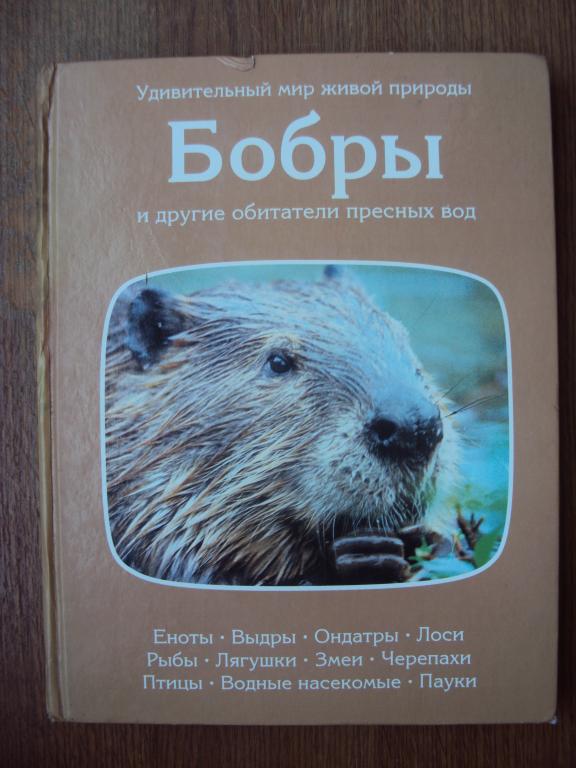 Бобры и другие обитатели пресных вод.