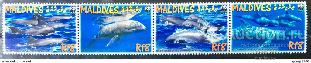 Мальдивы 2009 Бесклювый дельфин Китообразные Морская фауна моря WWF сцепка**