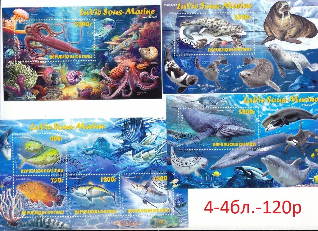 Мали 2023 фауна. Мир моря