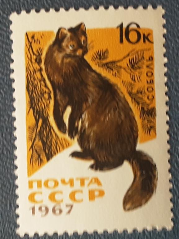 СССР 1967г.Пушные звери 3447**.