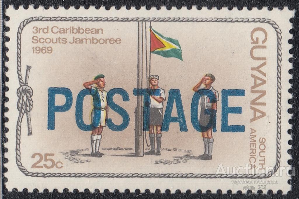Гайана. 1982 год. Скауты. Надпечатка. MNH