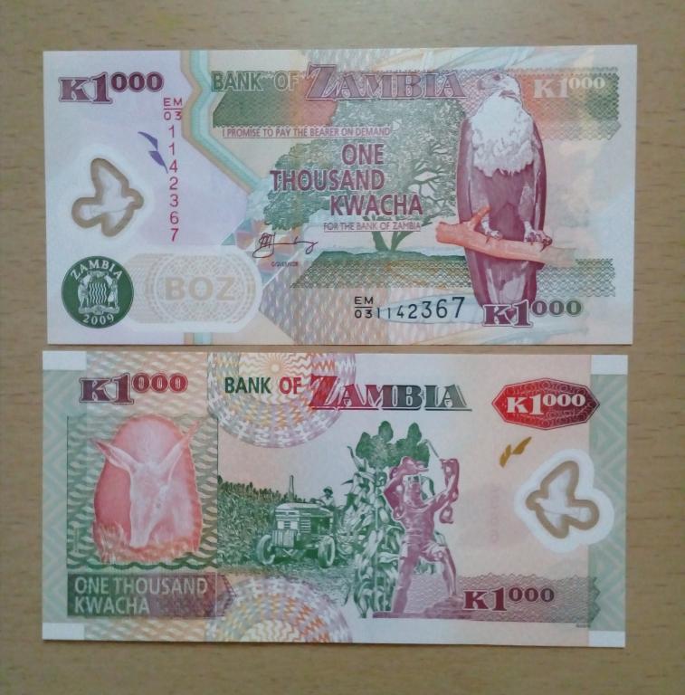Замбия 1000 квача 2009 год полимер пресс unc