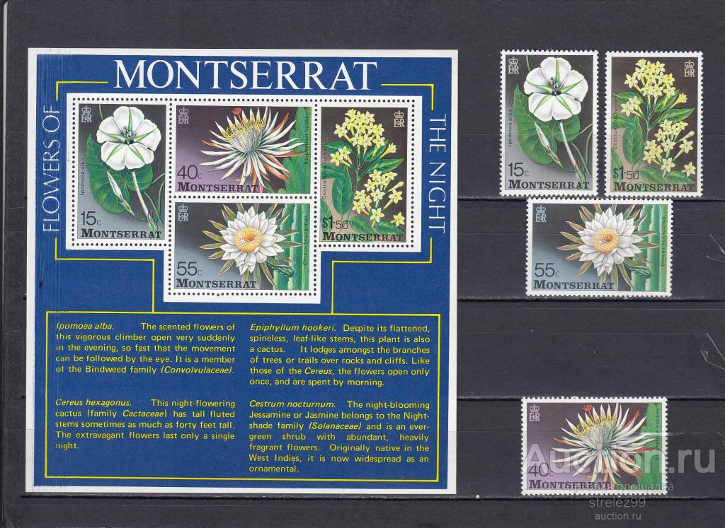 MONTSERRAT  МОНТСЕРРАТ Флора Цветы  Блок+Серия 1977  Сост** MNH
