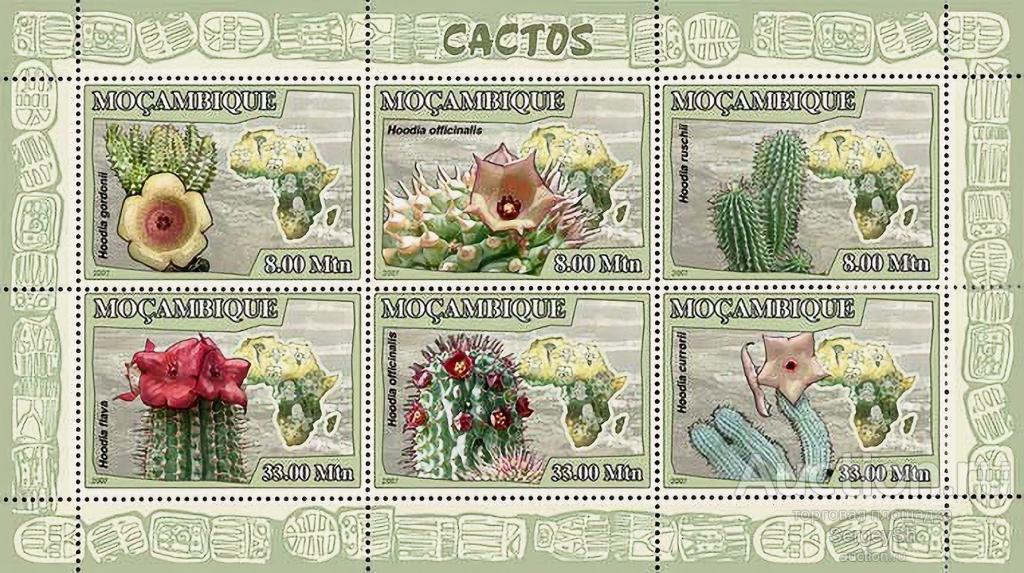 mz2934ml Мозамбик 2007г. Кактус Кактусы, Флора MNH