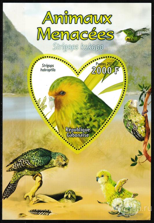Габон 2012 Какапо Нелетающий попугай Птицы Фауна бл., чистый, описание