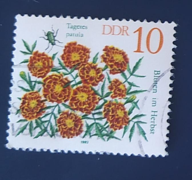 ГДР 1982 Mi# 2738   Цветы гаш