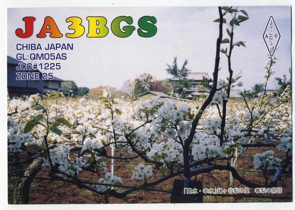 Карточка радиообмена QSL - Япония, Тиба, Камагая 2000 год (РК-26)-13