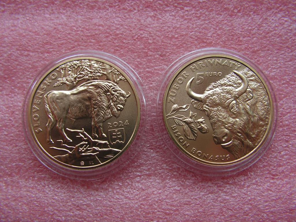 Словакия 5 евро 2024 зубр unc