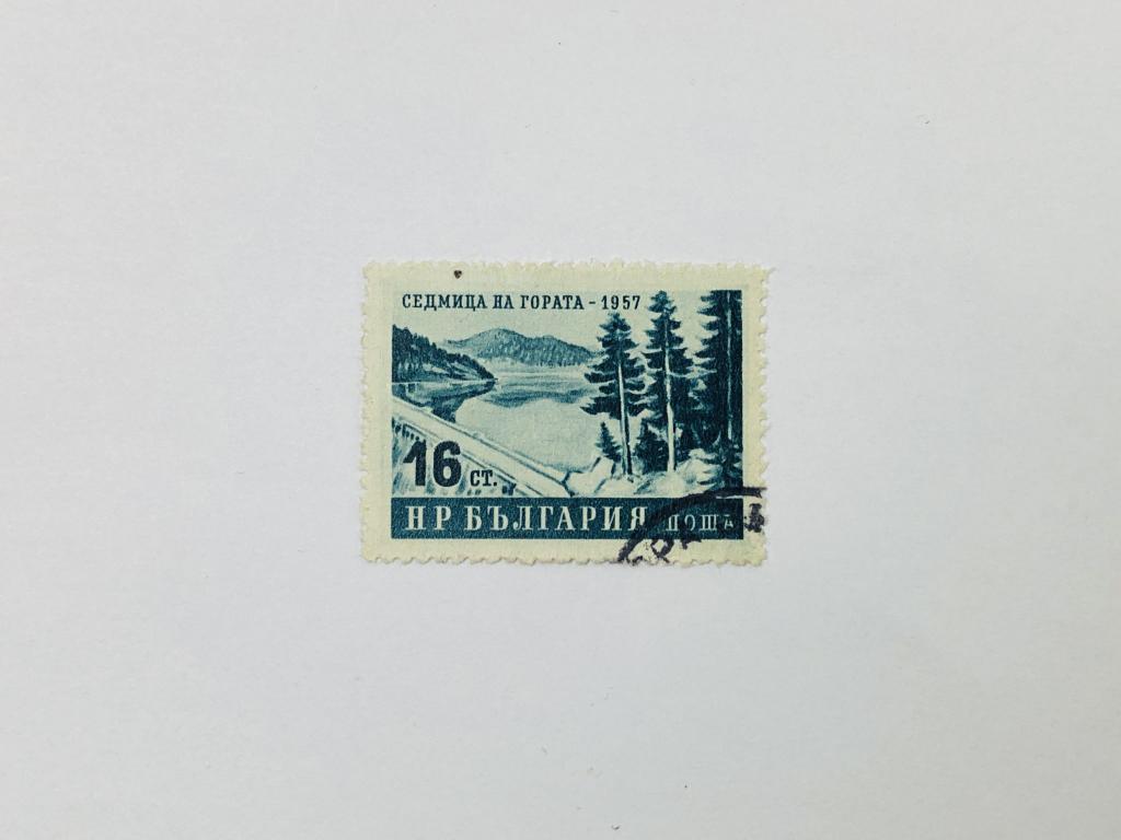 Лесная неделя. Елки и озеро. Флора. Болгария. 1957. Михель: BG 1037. Гашен